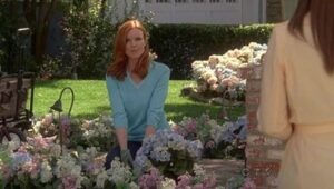 Desperate Housewives: S07E21
